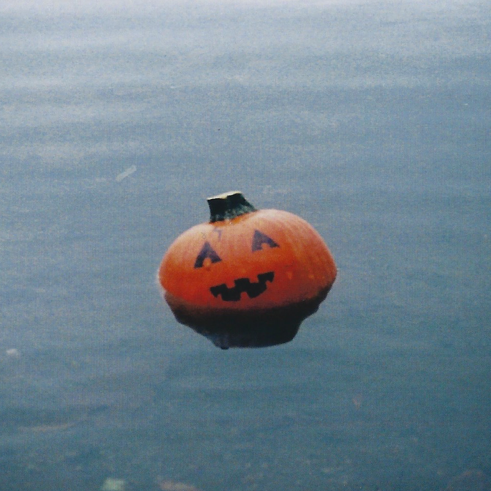 A pumpkin with a jack-o-lantern face floats in a lake